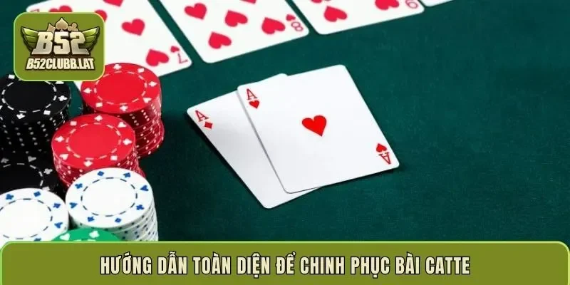 Hướng dẫn toàn diện để chinh phục bài catte